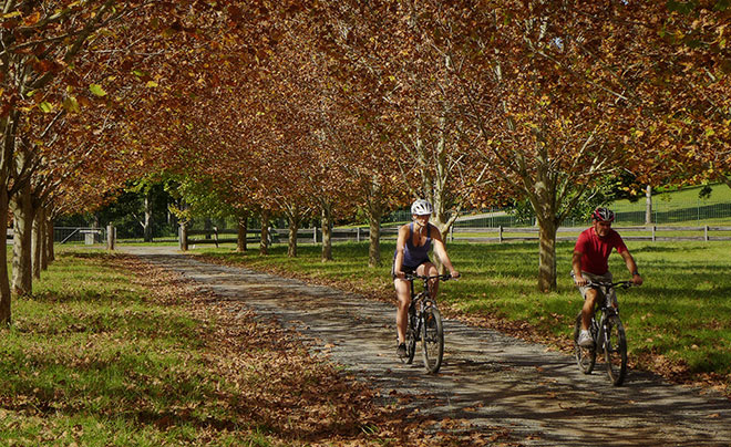Well maintained quality bikes are provided.