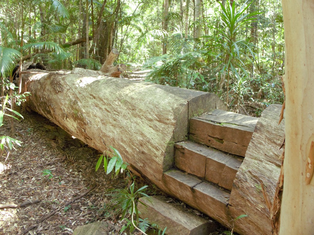 put on your walking shoes