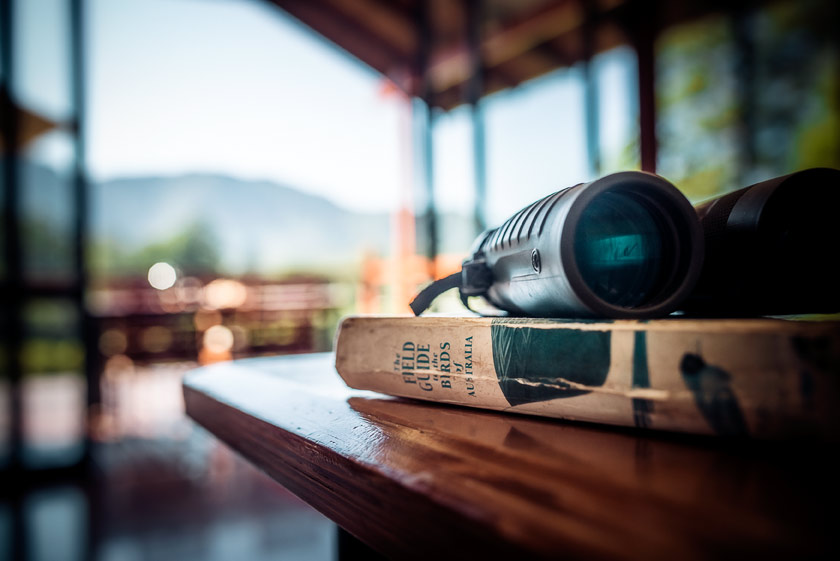 Welcome to the new website