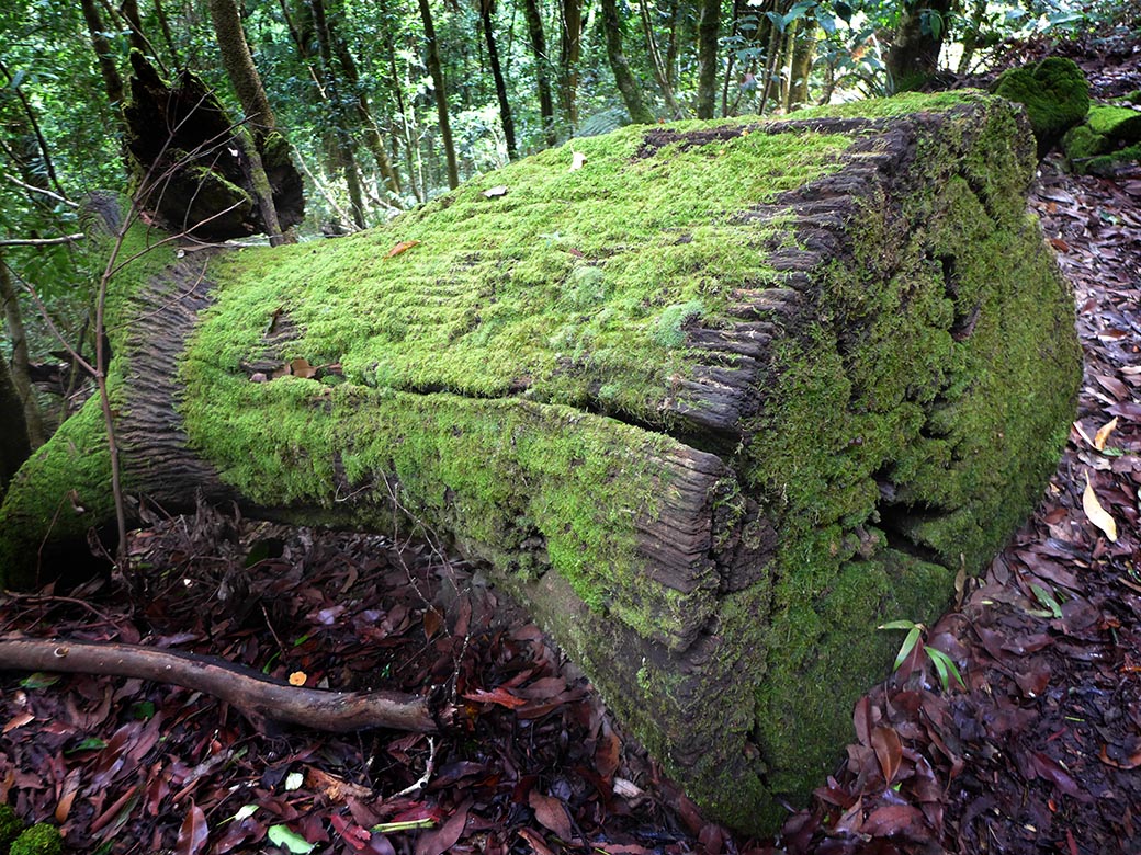 Up the mountain, down the waterfalls